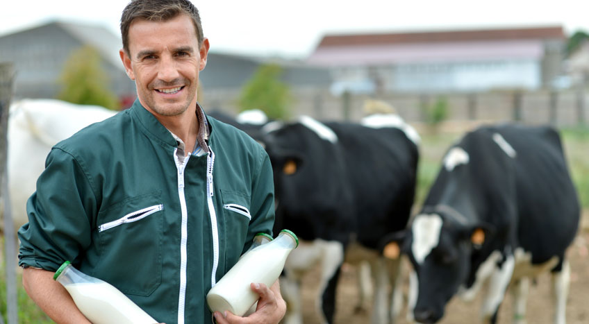 Analytical technology in the dairy industry